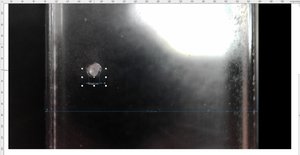 WhatsApp Image 2019-05-10 at 19.51.21.jpeg (3899 просмотров) <a class='original' href='./download/file.php?id=162569&mode=view' target=_blank>Загрузить оригинал (115.3 КБ)</a>