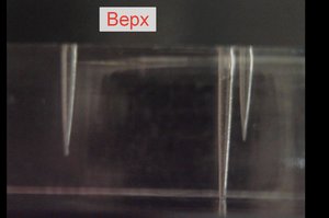 WhatsApp Image 2019-05-10 at 20.01.01.jpeg (3899 просмотров) <a class='original' href='./download/file.php?id=162570&mode=view' target=_blank>Загрузить оригинал (122.57 КБ)</a>