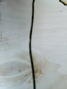 IMG-20190520-WA0000.jpg (3198 просмотров) <a class='original' href='./download/file.php?id=162983&mode=view' target=_blank>Загрузить оригинал (50.19 КБ)</a>