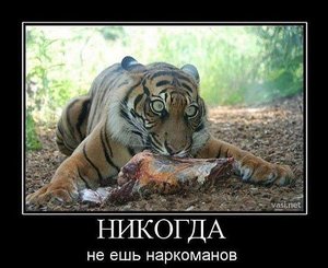 414.jpg (2305 просмотров) <a class='original' href='./download/file.php?id=16311&mode=view' target=_blank>Загрузить оригинал (44.8 КБ)</a>