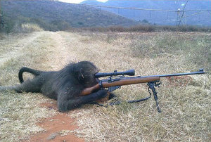 getImage402.jpg (2305 просмотров) <a class='original' href='./download/file.php?id=16312&mode=view' target=_blank>Загрузить оригинал (108.57 КБ)</a>