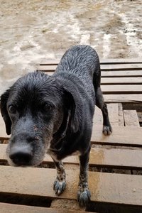 2019-05-09 19-50-58.jpg (2259 просмотров) <a class='original' href='./download/file.php?id=163460&mode=view' target=_blank>Загрузить оригинал (400.35 КБ)</a>