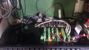 DSC_5609.jpg (160450 просмотров) <a class='original' href='./download/file.php?id=16359&sid=612162aa7391d21dcbe9f700e9ce07b6&mode=view' target=_blank>Загрузить оригинал (1.36 МБ)</a>