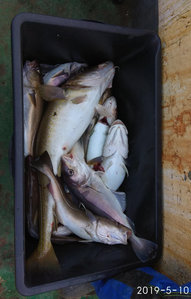 IMG_20190510_075718.jpg (2818 просмотров) <a class='original' href='./download/file.php?id=163938&mode=view' target=_blank>Загрузить оригинал (224.18 КБ)</a>