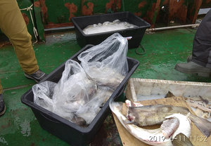 IMG_20190511_113226.jpg (2818 просмотров) <a class='original' href='./download/file.php?id=163939&mode=view' target=_blank>Загрузить оригинал (400.68 КБ)</a>