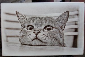 IMG_8827.JPG (7958 просмотров) <a class='original' href='./download/file.php?id=164330&mode=view' target=_blank>Загрузить оригинал (367.71 КБ)</a>