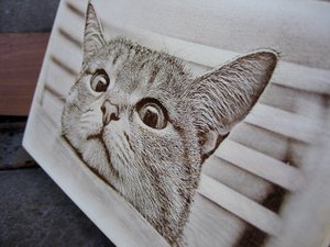 IMG_8829.JPG (7958 просмотров) <a class='original' href='./download/file.php?id=164331&mode=view' target=_blank>Загрузить оригинал (389.02 КБ)</a>