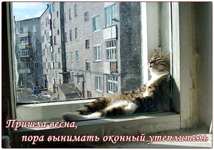 122025752_Ashampoo_Snap_20150326_12h49m54s_003_.jpg (3140 просмотров) <a class='original' href='./download/file.php?id=164533&mode=view' target=_blank>Загрузить оригинал (263.8 КБ)</a>