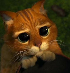 3458715.jpg (4606 просмотров) <a class='original' href='./download/file.php?id=165176&mode=view' target=_blank>Загрузить оригинал (14.46 КБ)</a>