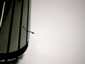 Стружка. Держится хорошо :) (2048 просмотров) <a class='original' href='./download/file.php?id=165591&mode=view' target=_blank>Загрузить оригинал (138.41 КБ)</a>