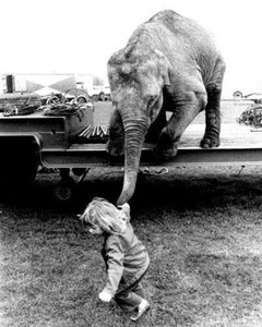 1-57.jpg (2186 просмотров) <a class='original' href='./download/file.php?id=165682&mode=view' target=_blank>Загрузить оригинал (302.05 КБ)</a>