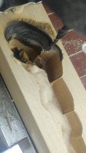 IMG_20190711_101303.jpg (6464 просмотра) <a class='original' href='./download/file.php?id=166365&mode=view' target=_blank>Загрузить оригинал (2.22 МБ)</a>