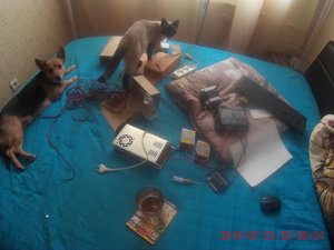 20500004.JPG (4018 просмотров) <a class='original' href='./download/file.php?id=166696&mode=view' target=_blank>Загрузить оригинал (1.03 МБ)</a>