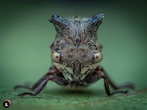 1-581.jpg (1942 просмотра) <a class='original' href='./download/file.php?id=166790&mode=view' target=_blank>Загрузить оригинал (255.8 КБ)</a>