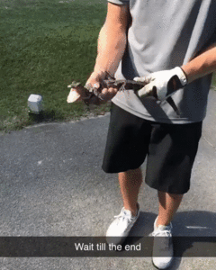 гифки-крокодил-5346949.gif (2715 просмотров) <a class='original' href='./download/file.php?id=166913&mode=view' target=_blank>Загрузить оригинал (11.39 МБ)</a>