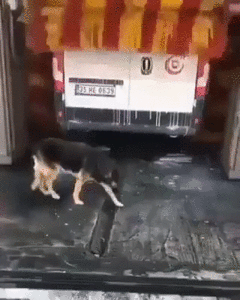 image.gif (3250 просмотров) <a class='original' href='./download/file.php?id=167387&mode=view' target=_blank>Загрузить оригинал (24.33 МБ)</a>