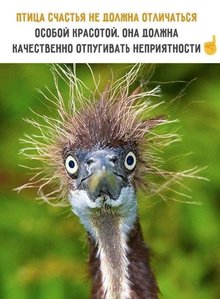 _buf6oPLOSs.thumb.jpg.3455cb8a3f10b97f7fc9139f353e8e7a.jpg (3175 просмотров) <a class='original' href='./download/file.php?id=167391&mode=view' target=_blank>Загрузить оригинал (86.42 КБ)</a>