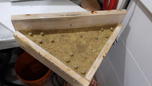 2019-08-09 23-54-45.JPG (4445 просмотров) <a class='original' href='./download/file.php?id=167757&mode=view' target=_blank>Загрузить оригинал (337.78 КБ)</a>