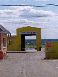 Яйца.jpg (3189 просмотров) <a class='original' href='./download/file.php?id=167828&mode=view' target=_blank>Загрузить оригинал (339.17 КБ)</a>