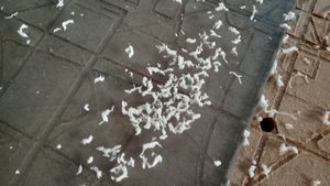 IMG_20190827_194820.jpg (1166 просмотров) <a class='original' href='./download/file.php?id=168268&mode=view' target=_blank>Загрузить оригинал (184.85 КБ)</a>