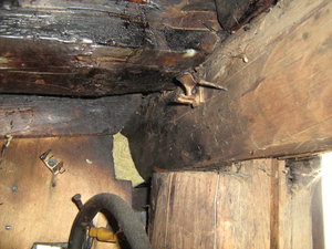 пластиковые держатели гофры - не держат (4055 просмотров) <a class='original' href='./download/file.php?id=168368&mode=view' target=_blank>Загрузить оригинал (1.87 МБ)</a>