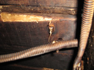 просто плавятся (4046 просмотров) <a class='original' href='./download/file.php?id=168369&mode=view' target=_blank>Загрузить оригинал (1.43 МБ)</a>