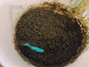 IMG_20190901_220953.jpg (3094 просмотра) <a class='original' href='./download/file.php?id=168406&mode=view' target=_blank>Загрузить оригинал (1.38 МБ)</a>