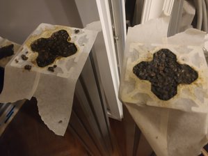 IMG_20190901_223947.jpg (3094 просмотра) <a class='original' href='./download/file.php?id=168407&mode=view' target=_blank>Загрузить оригинал (1.16 МБ)</a>