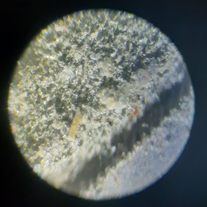 20190909_090354.jpg (3803 просмотра) <a class='original' href='./download/file.php?id=168676&mode=view' target=_blank>Загрузить оригинал (889.14 КБ)</a>