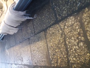 20190920_142652.jpg (8741 просмотр) <a class='original' href='./download/file.php?id=169202&mode=view' target=_blank>Загрузить оригинал (4.17 МБ)</a>