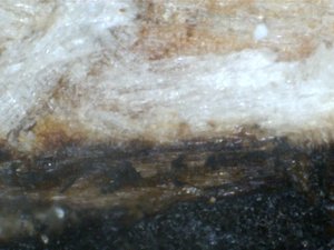 тот же участок при большем увеличении (9925 просмотров) <a class='original' href='./download/file.php?id=1696&mode=view' target=_blank>Загрузить оригинал (224.85 КБ)</a>