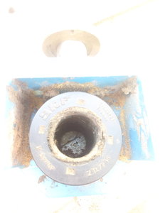 IMG_20190907_143941.jpg (2572 просмотра) <a class='original' href='./download/file.php?id=169685&mode=view' target=_blank>Загрузить оригинал (1.27 МБ)</a>