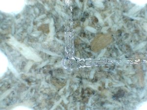 Стекло. от нагрева лазера стекло выкрашивается (9925 просмотров) <a class='original' href='./download/file.php?id=1697&mode=view' target=_blank>Загрузить оригинал (240.49 КБ)</a>