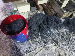 DSC_0123.JPG (3637 просмотров) <a class='original' href='./download/file.php?id=169816&mode=view' target=_blank>Загрузить оригинал (8.8 МБ)</a>