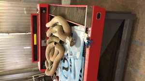 изображение_viber_2019-10-14_14-49-20.jpg (1753 просмотра) <a class='original' href='./download/file.php?id=170431&mode=view' target=_blank>Загрузить оригинал (193.14 КБ)</a>