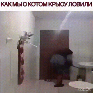 image.gif (2167 просмотров) <a class='original' href='./download/file.php?id=170598&mode=view' target=_blank>Загрузить оригинал (4.35 МБ)</a>