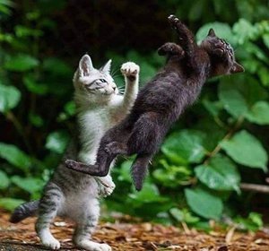 81.jpg (2426 просмотров) <a class='original' href='./download/file.php?id=170779&mode=view' target=_blank>Загрузить оригинал (441.28 КБ)</a>