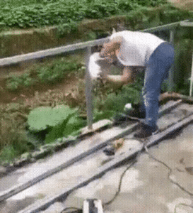 18-57-07-uvlyoxya.gif (2460 просмотров) <a class='original' href='./download/file.php?id=171703&mode=view' target=_blank>Загрузить оригинал (6.25 МБ)</a>