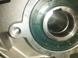 IMG_20191127_124920.jpg (894 просмотра) <a class='original' href='./download/file.php?id=172527&mode=view' target=_blank>Загрузить оригинал (1.46 МБ)</a>