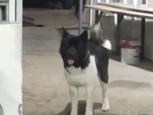 IMG_20191203_185822.jpg (4268 просмотров) <a class='original' href='./download/file.php?id=172952&mode=view' target=_blank>Загрузить оригинал (1.66 МБ)</a>