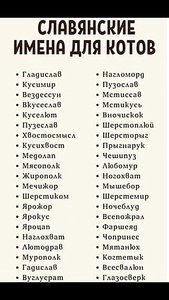 899.jpeg (3998 просмотров) <a class='original' href='./download/file.php?id=174802&mode=view' target=_blank>Загрузить оригинал (76.55 КБ)</a>