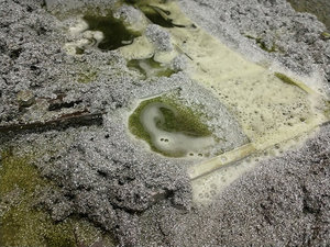 IMG_20200114_134553917.jpg (8558 просмотров) <a class='original' href='./download/file.php?id=175002&mode=view' target=_blank>Загрузить оригинал (380.21 КБ)</a>