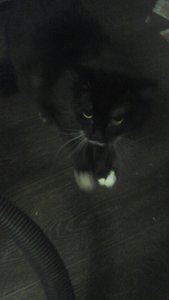 0-02-0a-38b8c44000e391fcd18ee15c32ec5ee5aef8fd6d83083f3121715dd32d0392f6_a3b55f77.jpg (27169 просмотров) <a class='original' href='./download/file.php?id=176293&mode=view' target=_blank>Загрузить оригинал (138.54 КБ)</a>