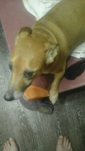 0-02-0a-e0c7288cb00b75b0ea408738e468052532348f35ffd35ad119c7bd96aff53773_7a8c1198.jpg (27171 просмотр) <a class='original' href='./download/file.php?id=176297&mode=view' target=_blank>Загрузить оригинал (175.76 КБ)</a>