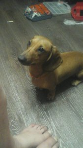 0-02-05-d75b95d4643eee461fe1ef631e03f24f1c51c7c9b84ab4b4d05afe06a58c7d86_8811bc73.jpg (27170 просмотров) <a class='original' href='./download/file.php?id=176298&mode=view' target=_blank>Загрузить оригинал (206.43 КБ)</a>