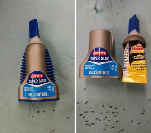 6e5a09813893c55bbe4d7d7c6130e13d.jpeg (3794 просмотра) <a class='original' href='./download/file.php?id=176687&mode=view' target=_blank>Загрузить оригинал (104.48 КБ)</a>