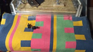 IMG_20200221_234748.jpg (11085 просмотров) <a class='original' href='./download/file.php?id=177072&mode=view' target=_blank>Загрузить оригинал (934.24 КБ)</a>