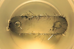 Олово.JPG (2483 просмотра) <a class='original' href='./download/file.php?id=177158&mode=view' target=_blank>Загрузить оригинал (291.6 КБ)</a>