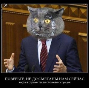 Screenshot_20181129-080337_Chrome.jpg (3417 просмотров) <a class='original' href='./download/file.php?id=177319&mode=view' target=_blank>Загрузить оригинал (656.7 КБ)</a>