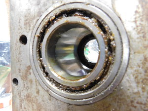 DSCN0228.JPG (15322 просмотра) <a class='original' href='./download/file.php?id=178488&mode=view' target=_blank>Загрузить оригинал (3.98 МБ)</a>